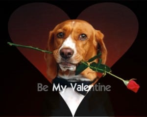 be-my-valentine