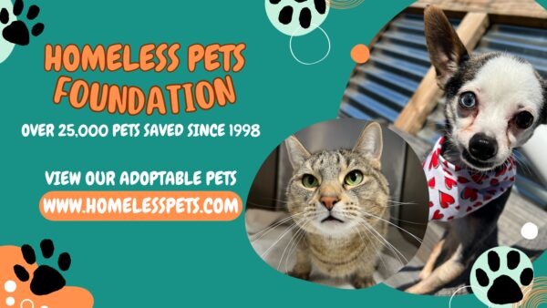 Homeless Pets Foundation